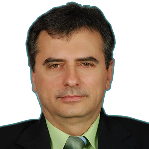 Veselin Berov
